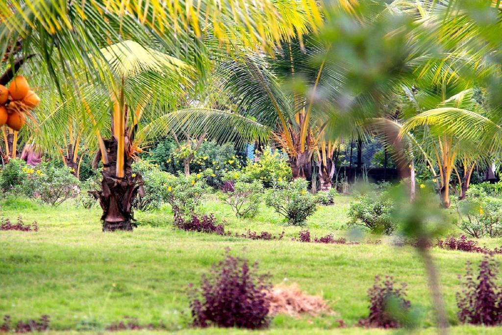 Grande Bay Resort And Spa Mamallapuram Экстерьер фото